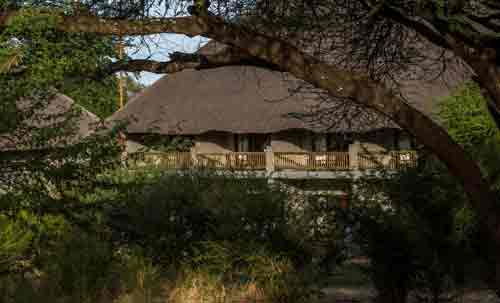 Chobe Bush Lodge - Kasane Botswana