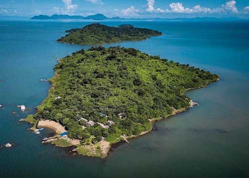 Blue Zebra Island - Lake Malawi