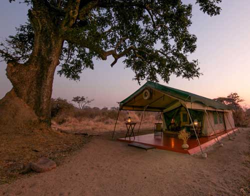 Old Mdonya River Camp - Ruaha Tanzania