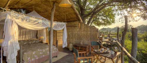 Jackalberry Tree House - South Luangwa Zambia