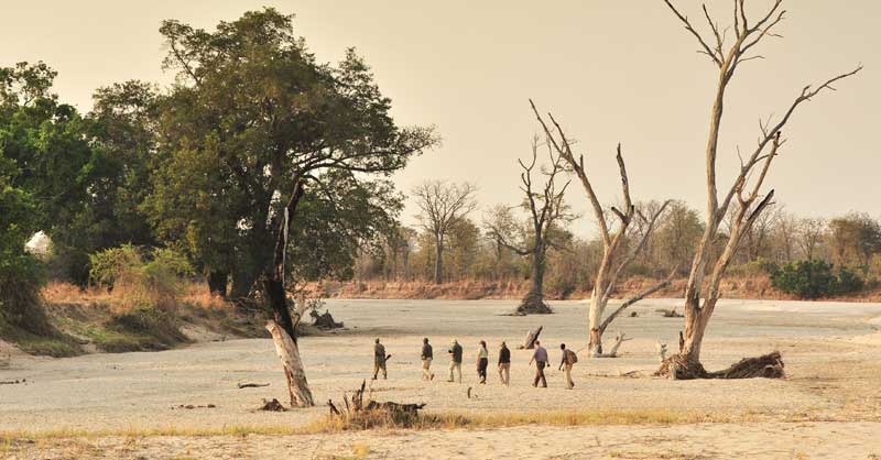 Wandelsafari Norman Carr Safaris - South Luangwa Zambia