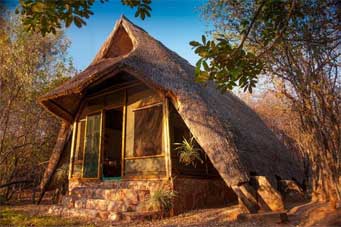 Musango Safari Camp - Matusadona Zimbabwe