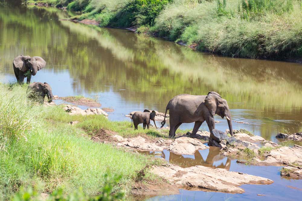 Nkhotakota Game Reserve Malawi