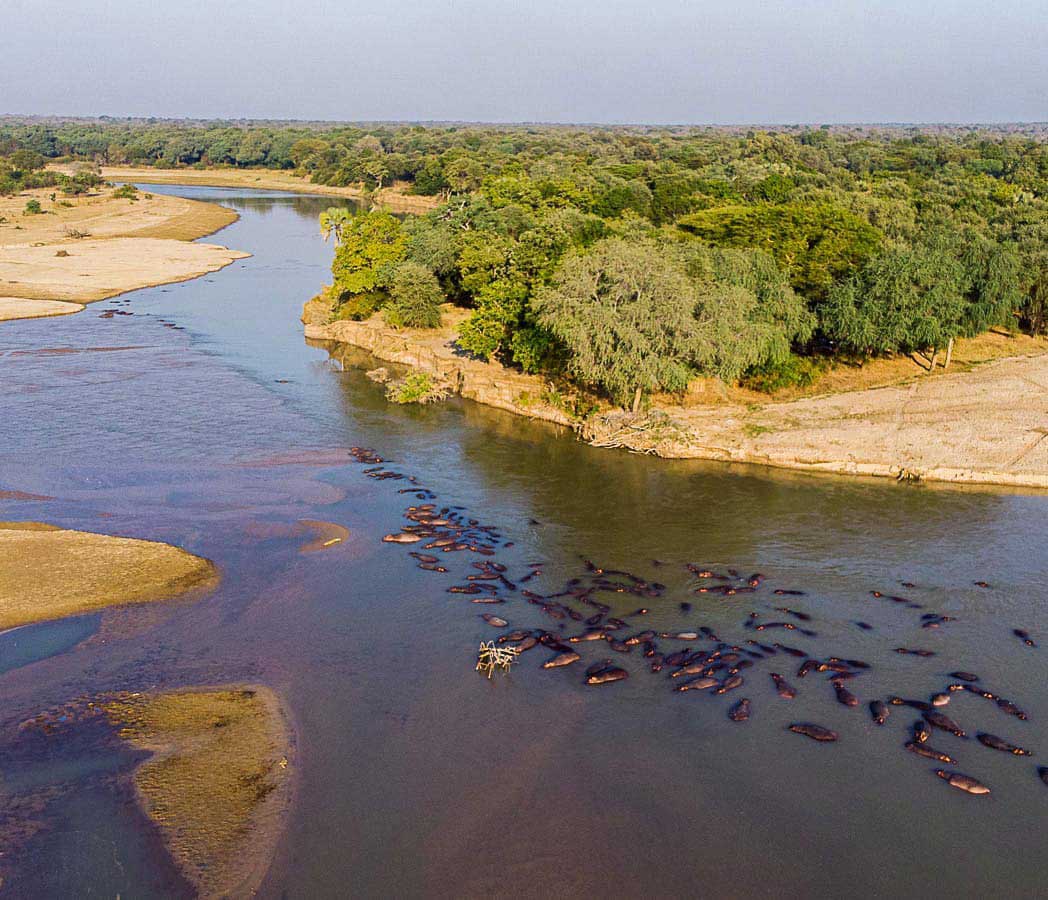 North Luangwa National Park Zambia
