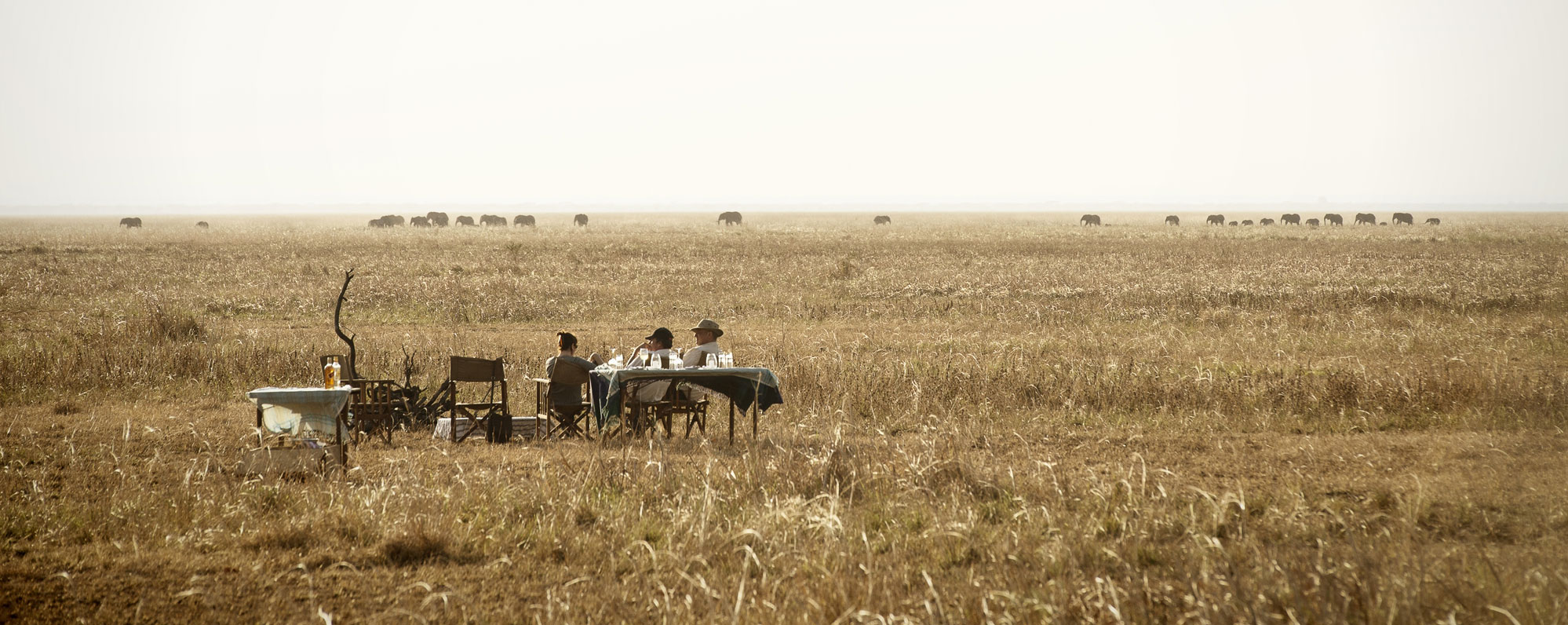 safari Katavi Tanzania