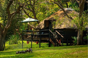 Kubu Lodge - Kasane Botswana