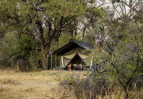 Machaba Camp - Khwai Botswana