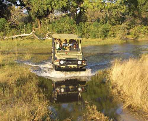 Pom Pom Camp - Okavango Botswana
