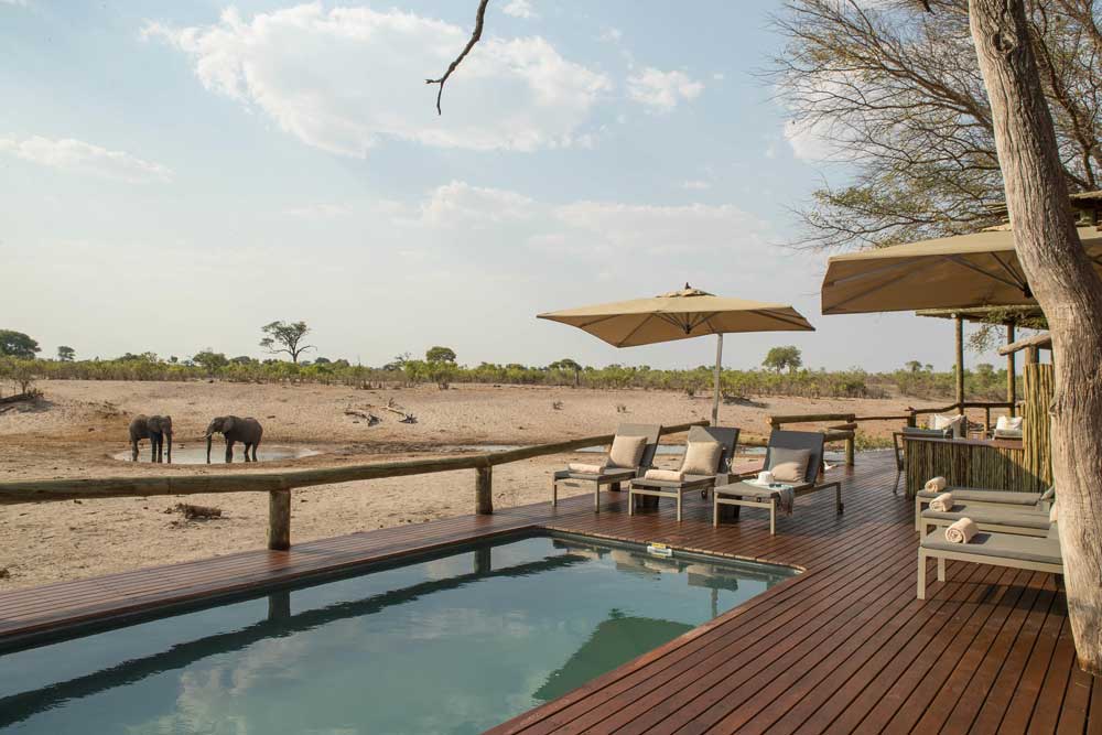 Savute Safari Lodge - Botswana