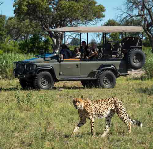 Vumbura Plains Camp - Okavango Botswana