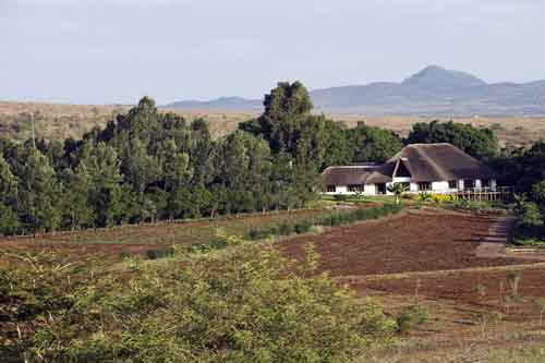 Coffee Farm House - Ngorongoro Tanzania