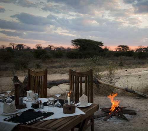 Kigelia Camp - Ruaha Tanzania