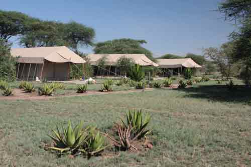 Mapito Tented Camp - Serengeti Tanzania