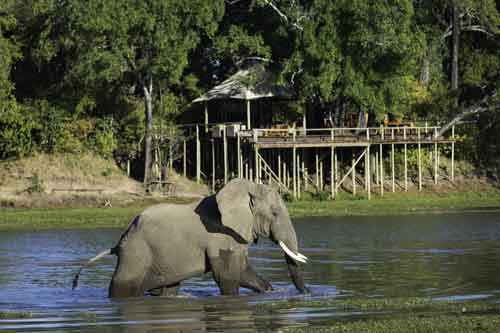 Chindeni Bushcamp - South Luangwa Zambia