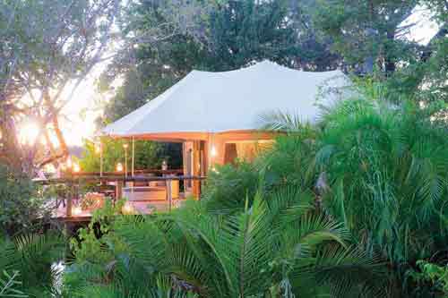 Ila Safari - Kafue Zambia