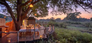 Jackalberry Tree House - South Luangwa Zambia