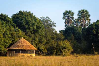 Kuyenda Bushcamp - South Luangwa Zambia