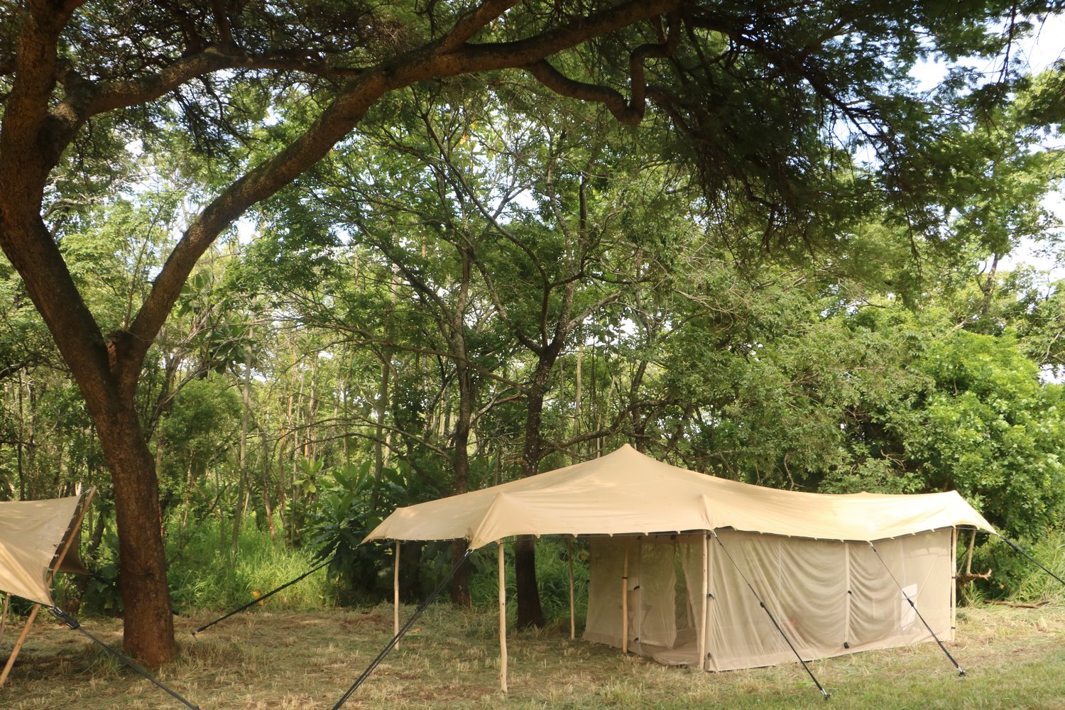 Tusk & Mane Camp  - Lower Zambezi Zambia