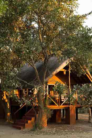 Zikomo Bushcamp - South Luangwa Zambia