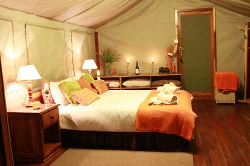 Bomani Safari Camp - Hwange Zimbabwe