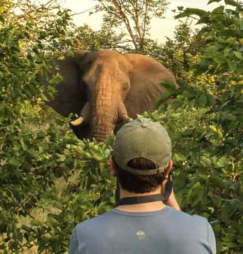 Bomani Safari Camp - Hwange Zimbabwe