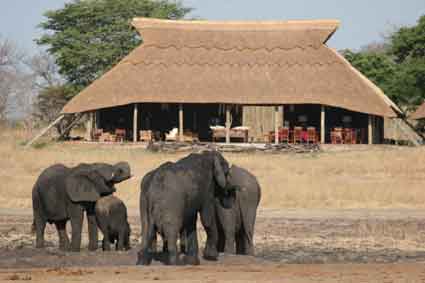 Camp Hwange - Zimbabwe
