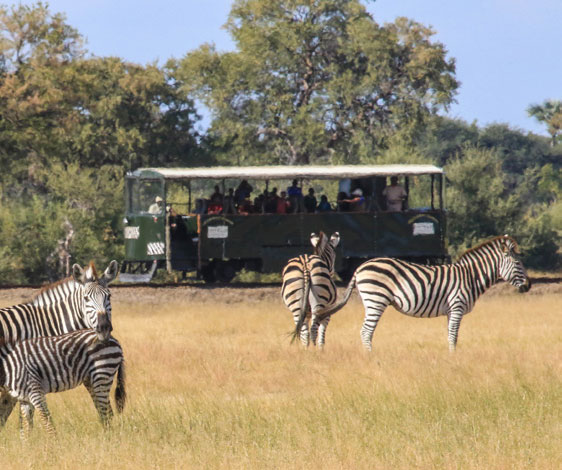 Elephant Express Train - Hwange Zimbabwe