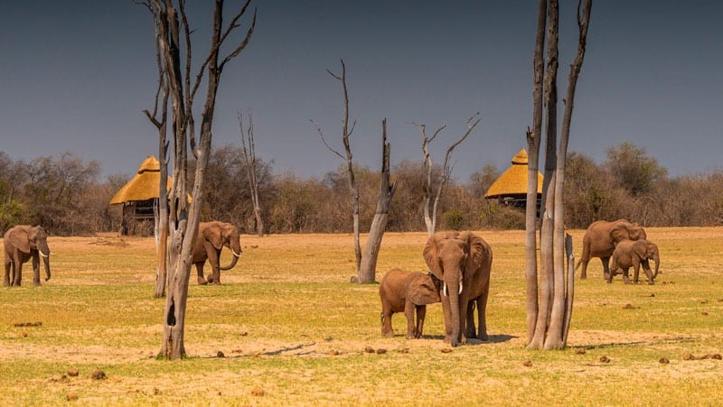 Rhino Safari Camp - Matusadona Zimbabwe