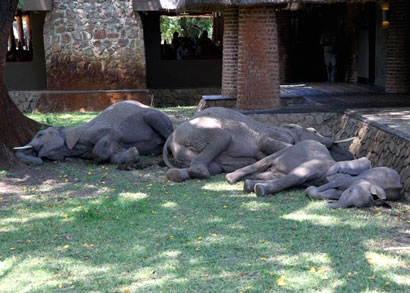 Mfuwe Lodge South Luangwa National Park Zambia