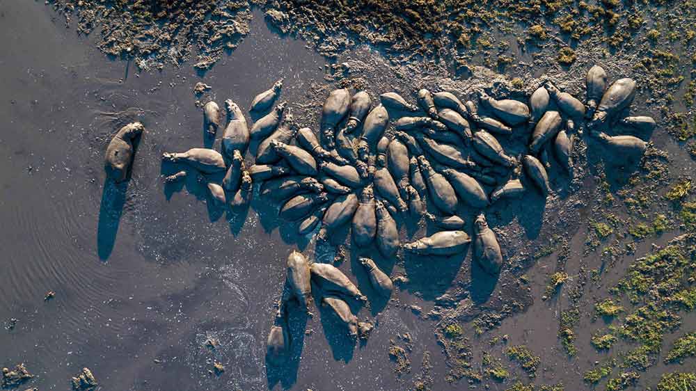 Zimba Safaris | Kafue National Park Zambia