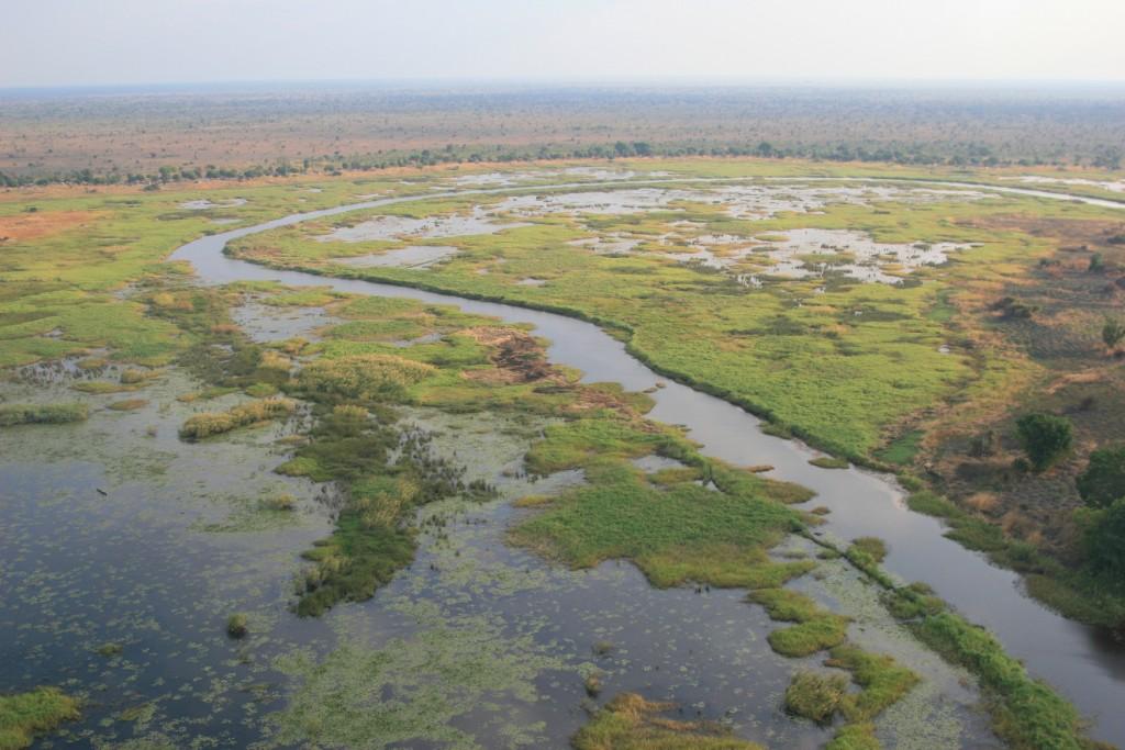 Bangweulu Swamps Zambia