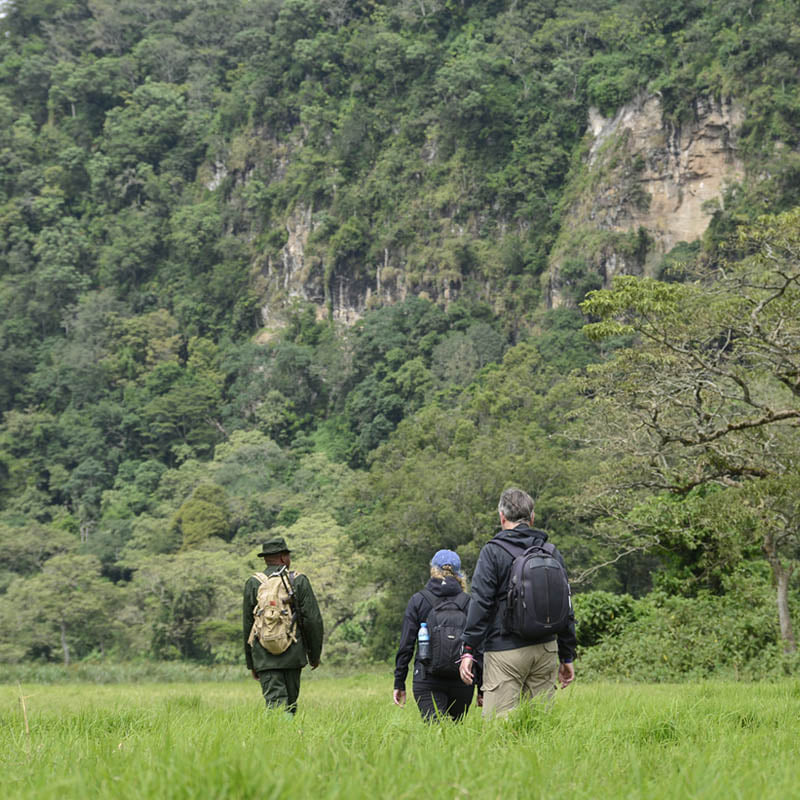 Mount Meru wandeling Ngurdoto-Crater Tanzania