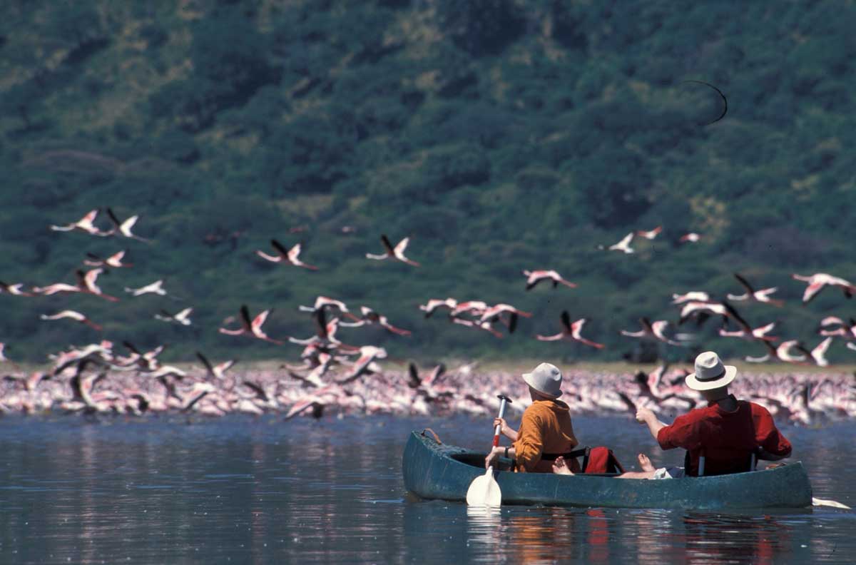 Momella Lake flamingos Tanzania