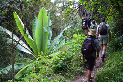 Mount Meru wandeling Mount Meru wandeling Tanzania