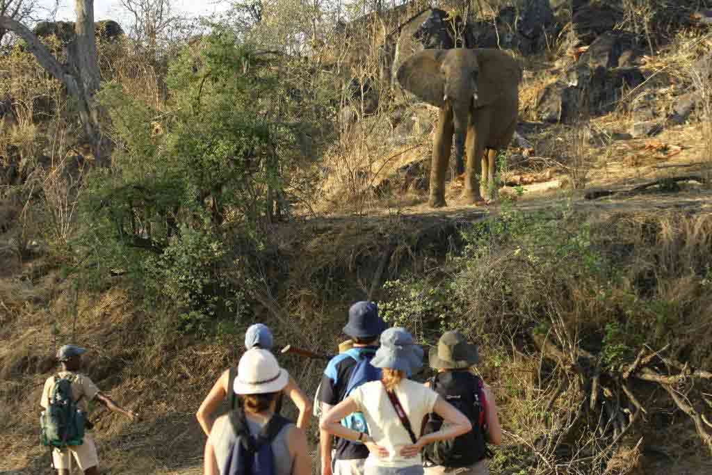 Chizarira Wildlife Area Chizarira Zimbabwe