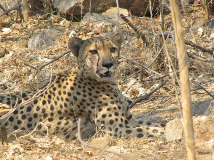 Chizarira Wildlife Area Chizarira Zimbabwe