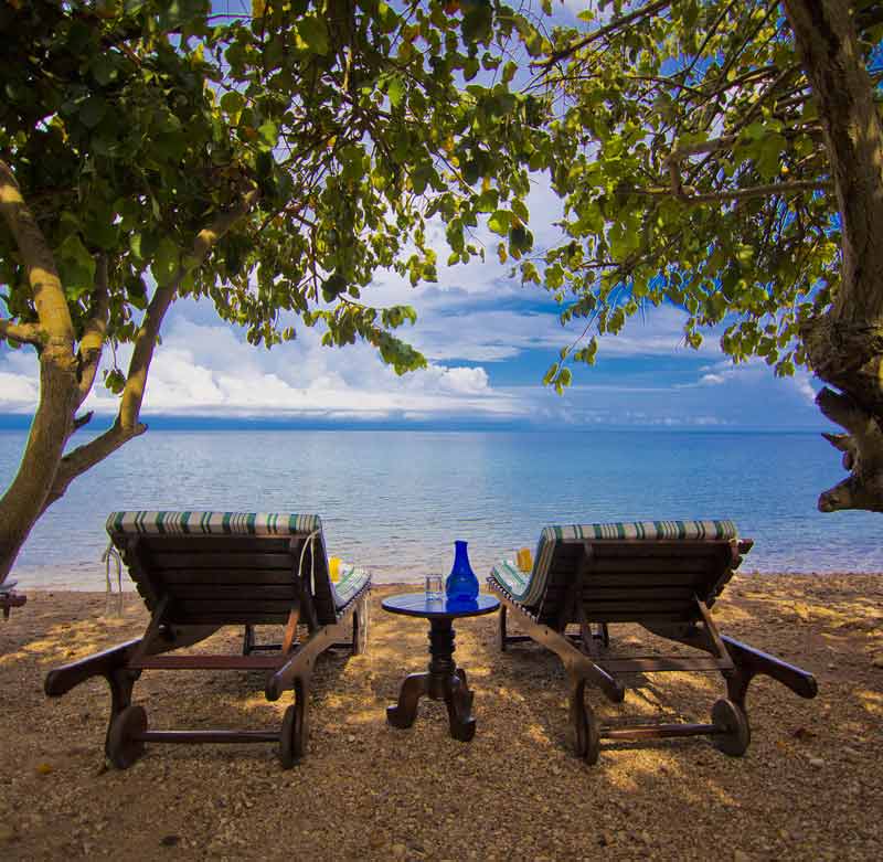 Gombe Stream - Chimpansee Trekking Gombe Stream - Chimpansee Trekking Tanzania