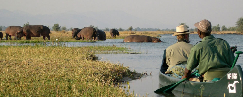 Kanosafari Zambezi Rivier Zimbabwe
