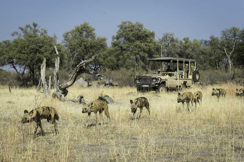 Linyanti en Savuti regio in Chobe NP