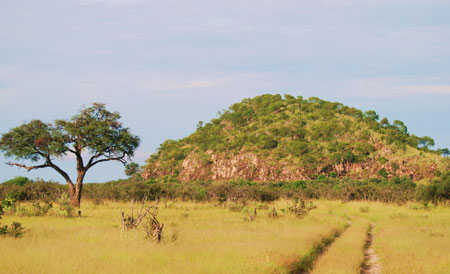 Savuti regio in Botswana Chobe