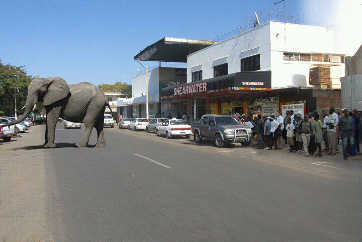 centrum Victoria Falls Zimbabwe Victoria Falls Zimbabwe