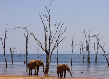 Lake kariba Zimbabwe