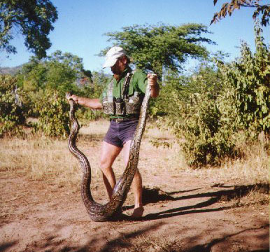 Zimbabwe Matusadona National Park Matusadona National Park Zimbabwe
